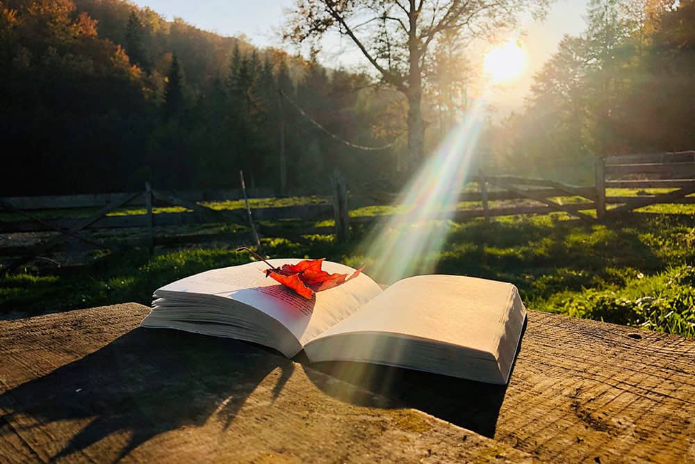 ray of sun on open bible laying on a table outside